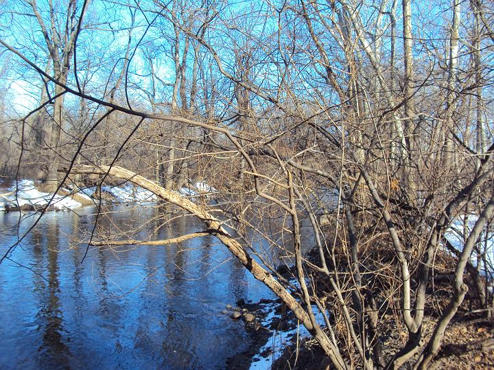 Rockaway river .jpg